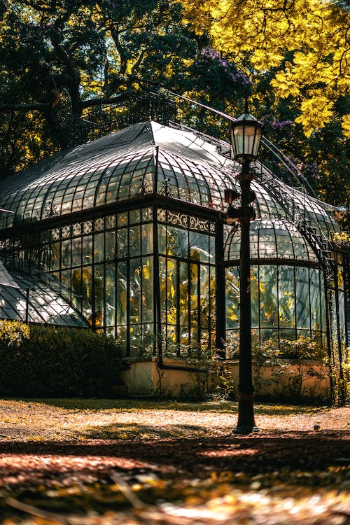 Jardín Botánico Ciudad de Buenos Aires imagen de invernadero de cristal